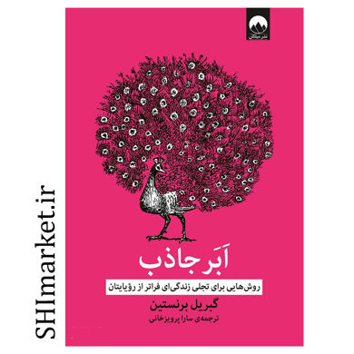 خرید اینترنتی کتاب ابر جاذب در شیراز